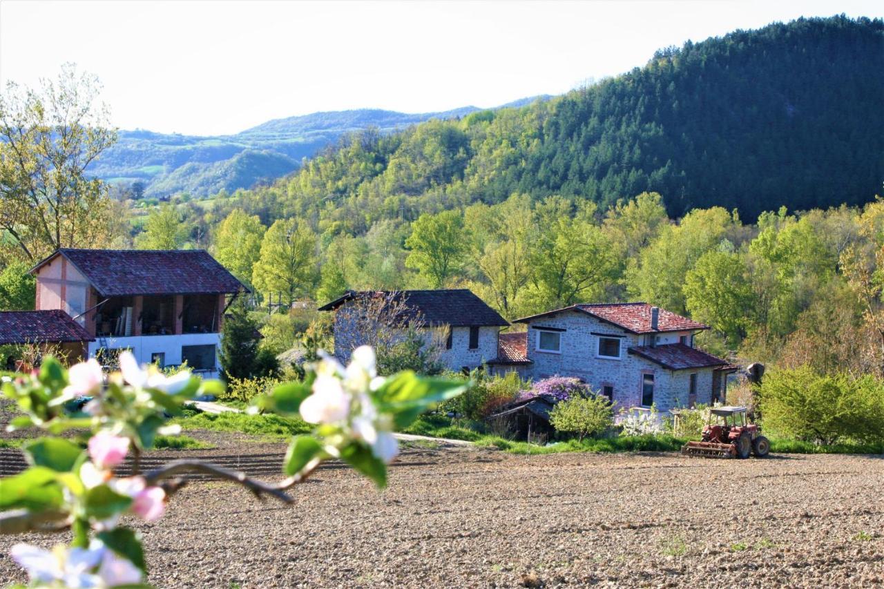 فيلا Agriturismo Malvista San Sebastiano Curone المظهر الخارجي الصورة