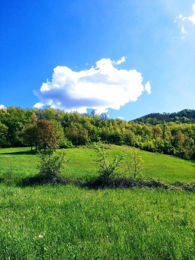 فيلا Agriturismo Malvista San Sebastiano Curone المظهر الخارجي الصورة