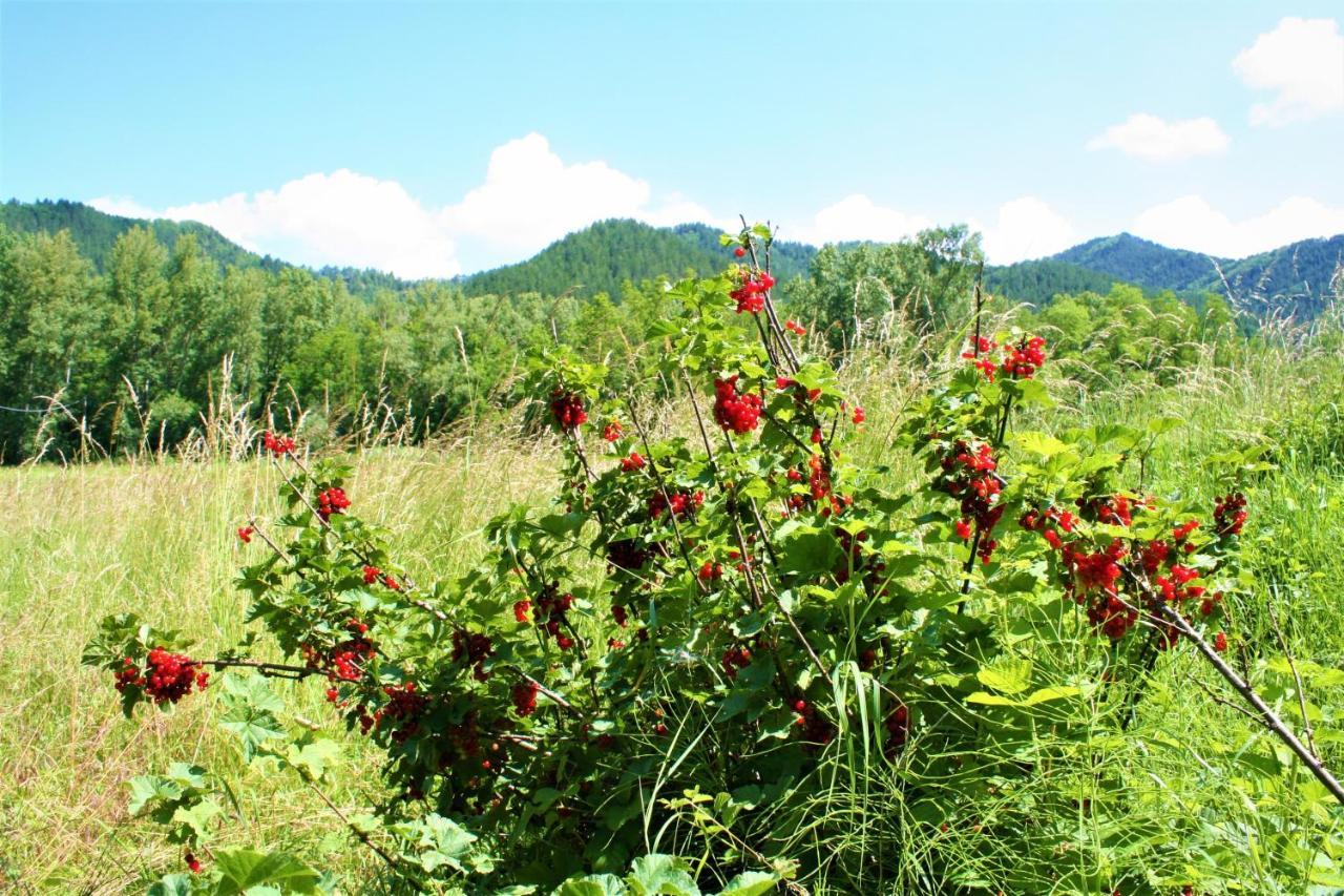 فيلا Agriturismo Malvista San Sebastiano Curone المظهر الخارجي الصورة