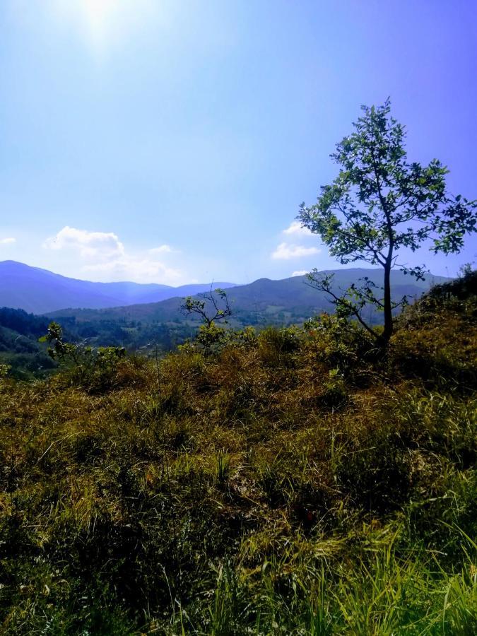 فيلا Agriturismo Malvista San Sebastiano Curone المظهر الخارجي الصورة