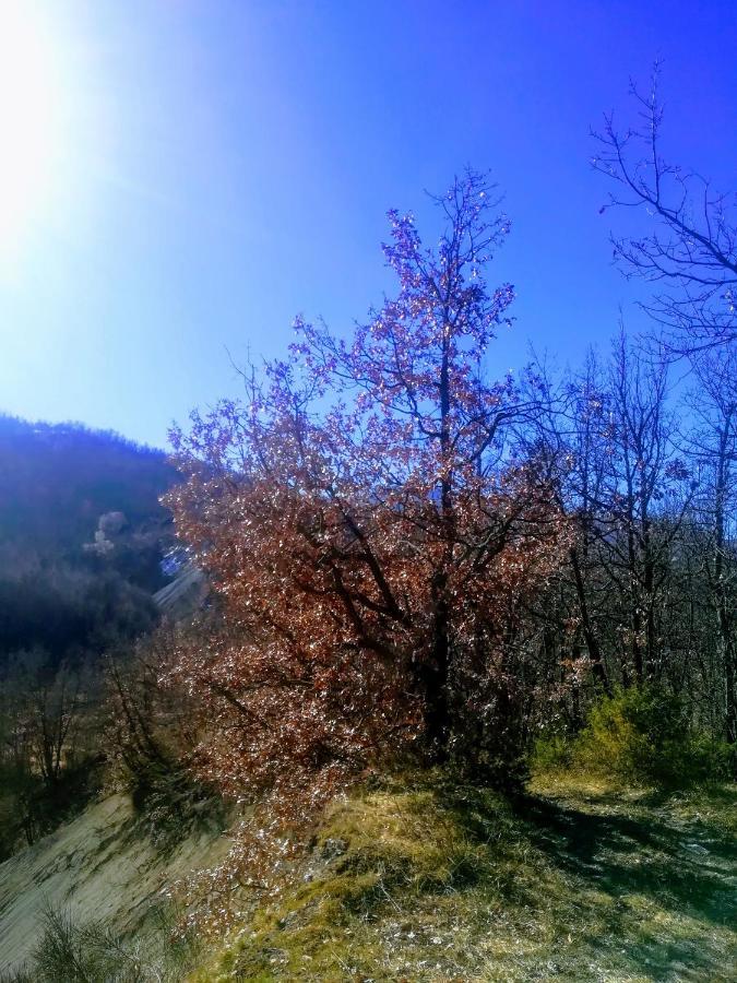 فيلا Agriturismo Malvista San Sebastiano Curone المظهر الخارجي الصورة