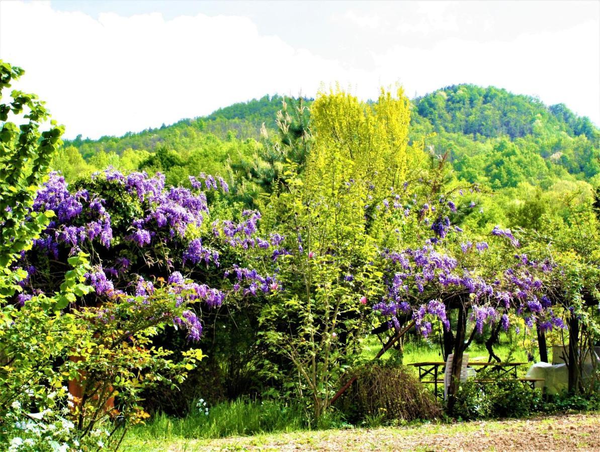 فيلا Agriturismo Malvista San Sebastiano Curone المظهر الخارجي الصورة