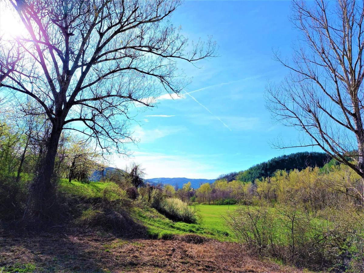 فيلا Agriturismo Malvista San Sebastiano Curone المظهر الخارجي الصورة