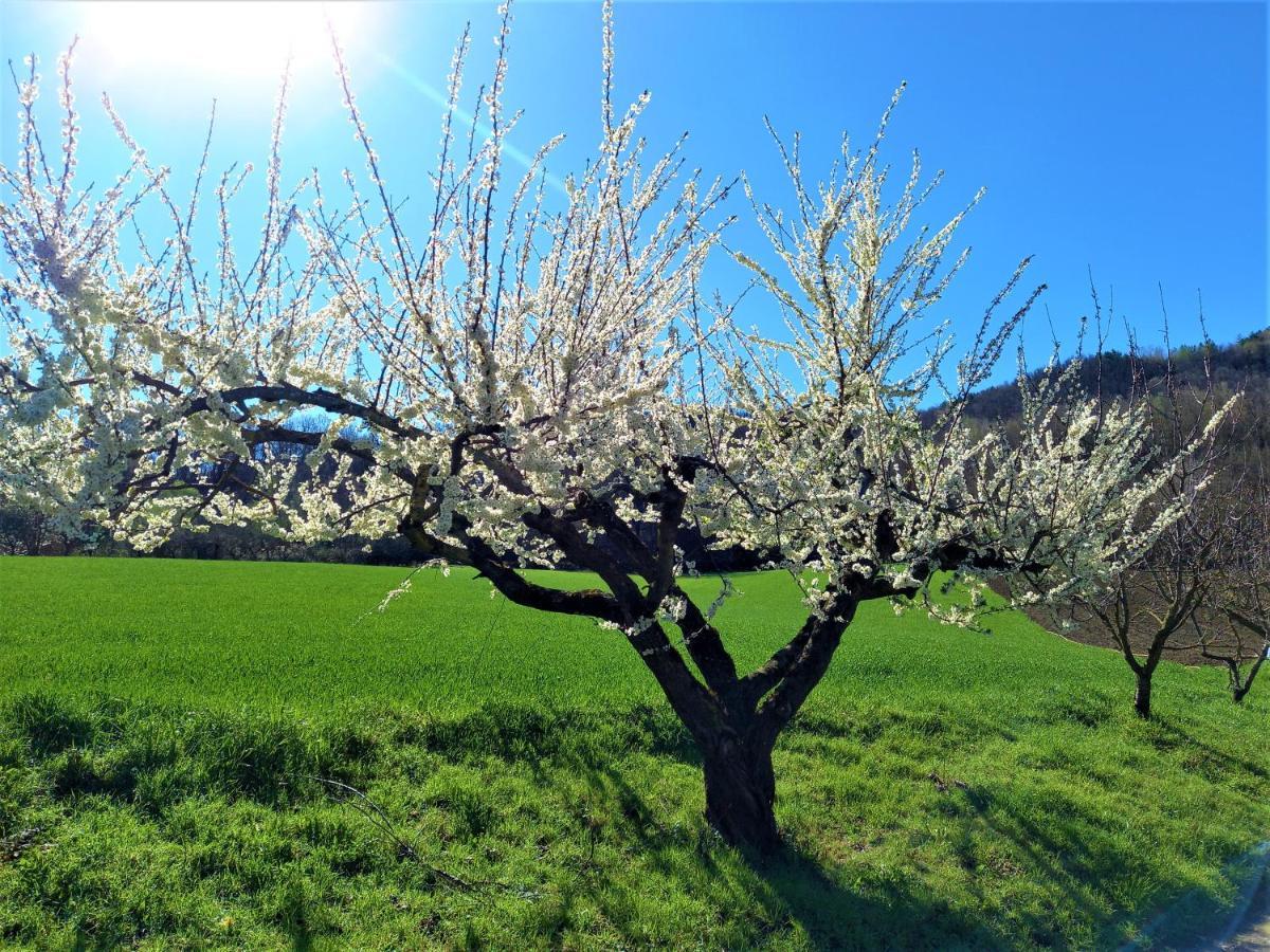 فيلا Agriturismo Malvista San Sebastiano Curone المظهر الخارجي الصورة