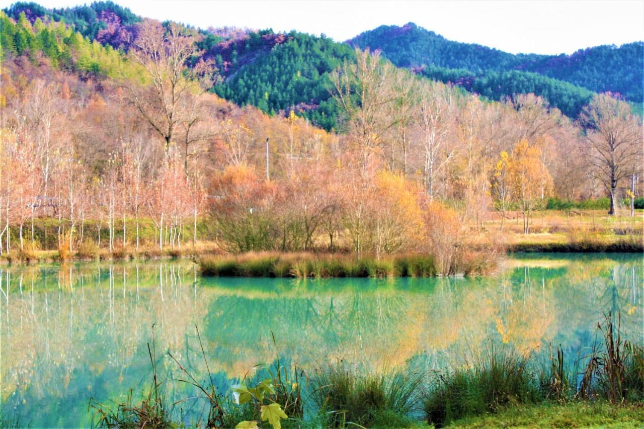 فيلا Agriturismo Malvista San Sebastiano Curone المظهر الخارجي الصورة