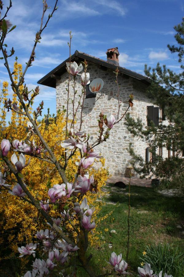 فيلا Agriturismo Malvista San Sebastiano Curone المظهر الخارجي الصورة