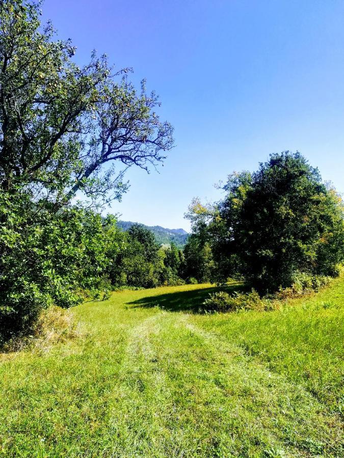 فيلا Agriturismo Malvista San Sebastiano Curone المظهر الخارجي الصورة