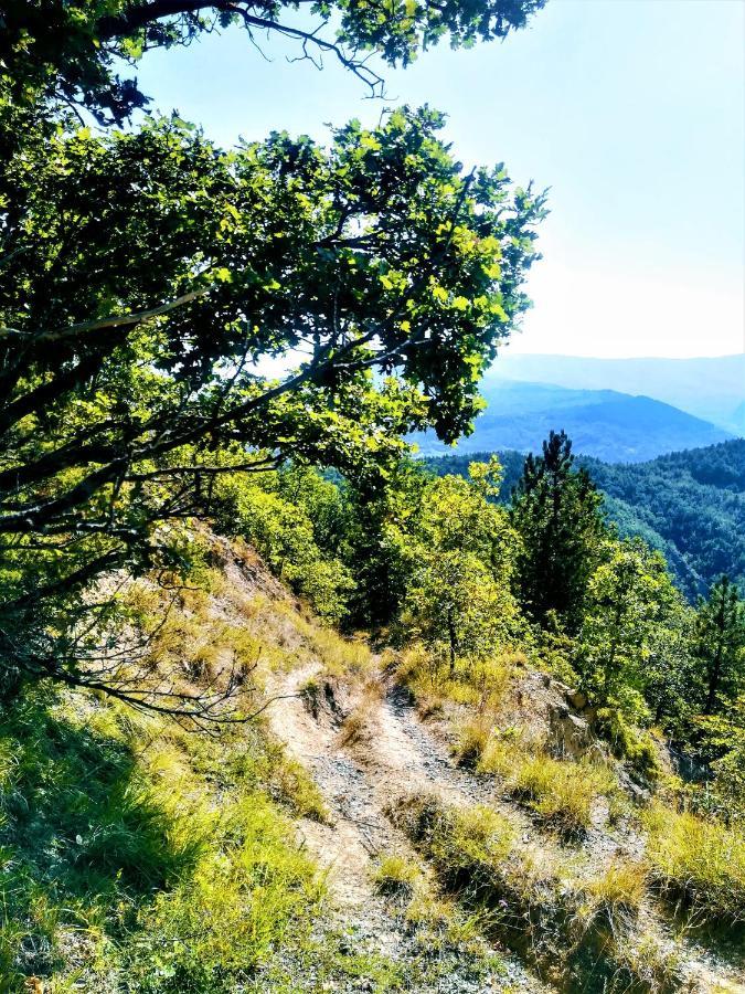 فيلا Agriturismo Malvista San Sebastiano Curone المظهر الخارجي الصورة