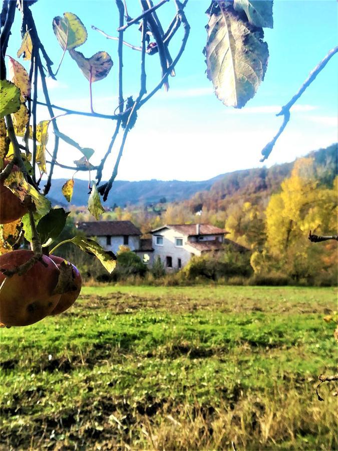 فيلا Agriturismo Malvista San Sebastiano Curone المظهر الخارجي الصورة